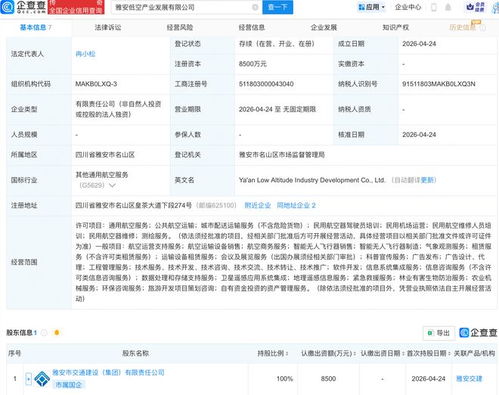雅安低空產(chǎn)業(yè)發(fā)展公司成立 布局航空、衛(wèi)星與信息系統(tǒng)集成新賽道